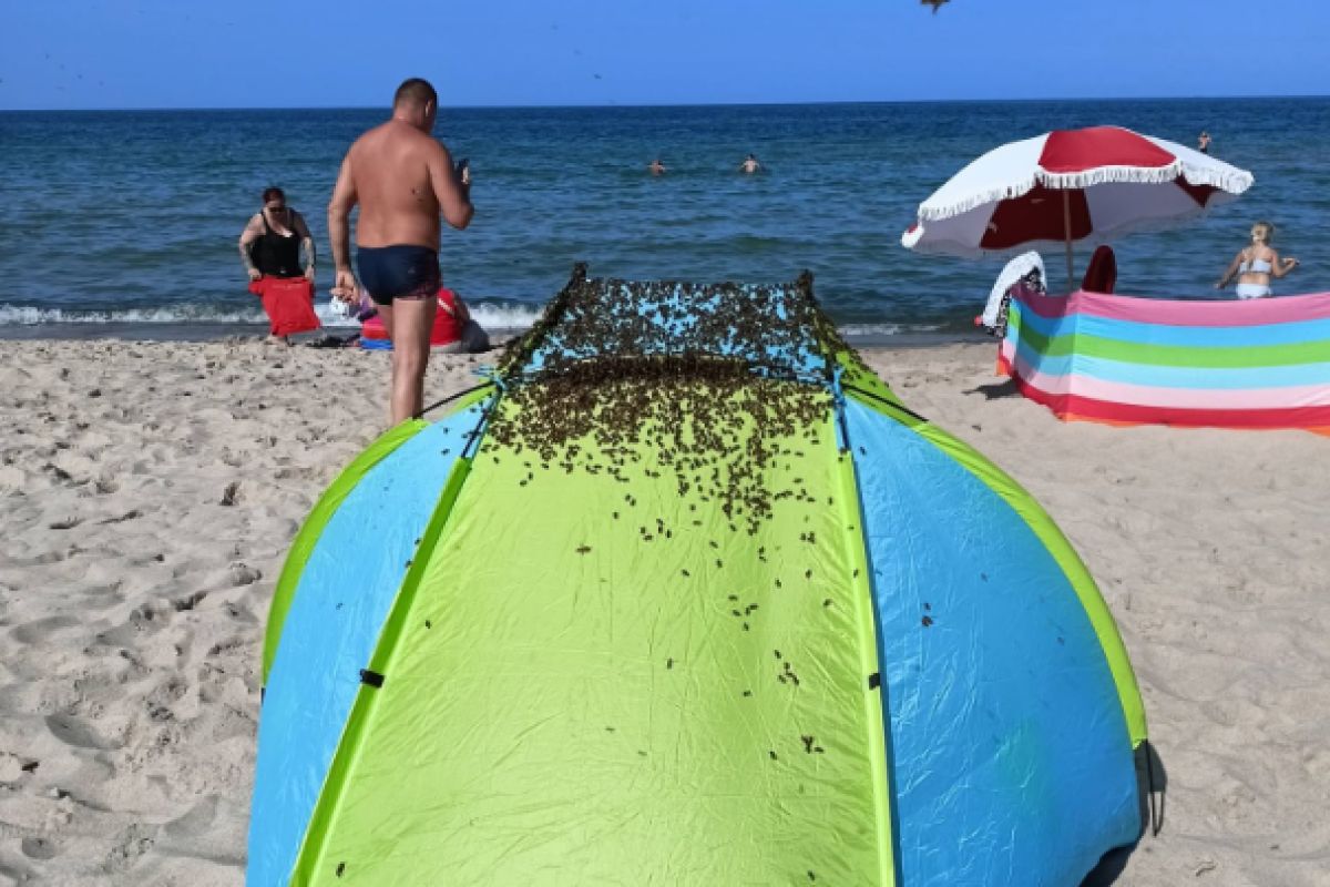 Była 15:38. Taki widok na plaży w Jastarni. Strażacy pokazali zdjęcia
