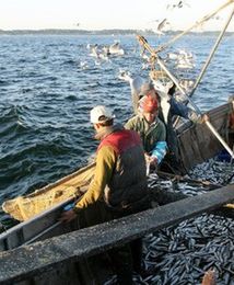 Podszywali się pod Lidla, wyłudzili 2 mln złotych. "Dobrze zorganizowany przekręt"