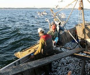 Podszywali się pod Lidla, wyłudzili 2 mln złotych. "Dobrze zorganizowany przekręt"