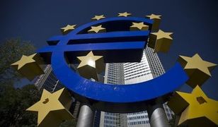 Nowotny: powrót do walut narodowych to samobójstwo dla Francji i Włoch