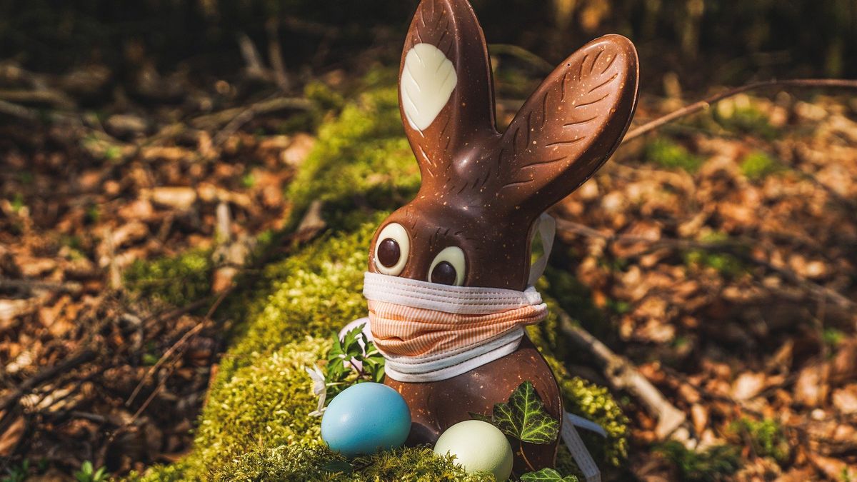 Czekoladowe zajączki przed Wielkanocą zapelniają półki w sklepach