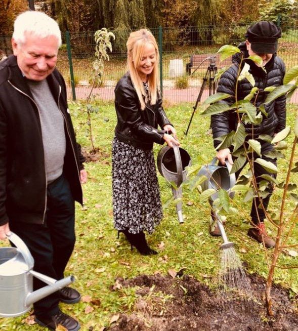 Sosnowiec. Krzysztof Materna odwiedził rodzinne miasto i zasadził wiśnię