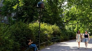 Kraków: Oto 20 największych parków w mieście. Znacie je?