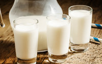 Ceny mleka nadal w gr