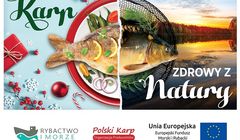 Karp przed świętami reklamowany jako "zdrowy z natury"