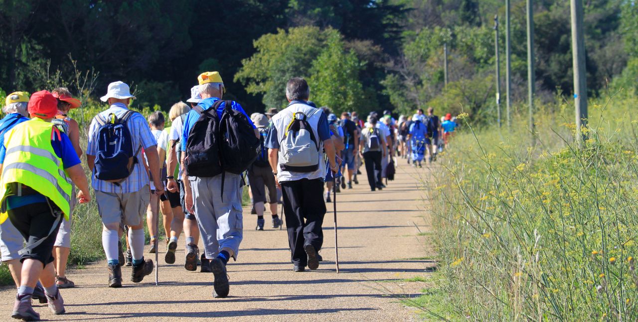 Pielgrzymi z diecezji elbląskiej dotarli na Jasną Górę. Pokonali ponad 500 km