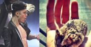 Bieber oskarżony o ZNĘCANIE się nad chomikiem!