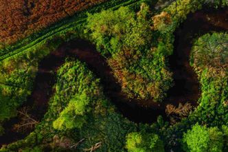 mBank prezentuje plan transformacji