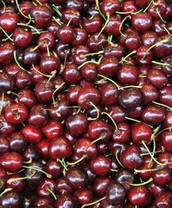 Sądny czas dla sadowników. Ważą się losy czereśni