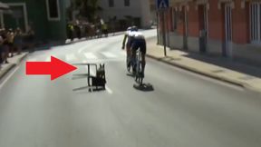 Kuriozalne obrazki na Vuelta a Espana. Dobrze się przypatrz