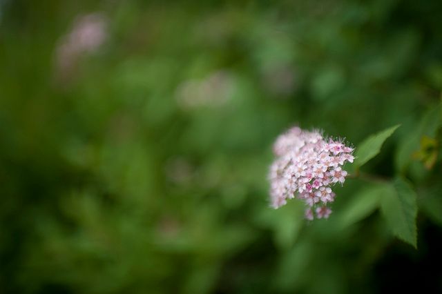 Nikkor AF-S 35 mm f/1.4 - świetne szkło na każdą okazję [test] 14