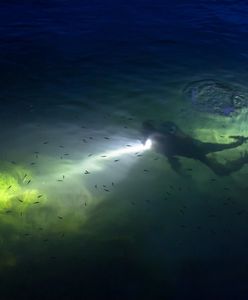 Wrocław. Zaginięcie płetwonurków w Sobótce. "Tam nie wchodzą przypadkowe osoby"