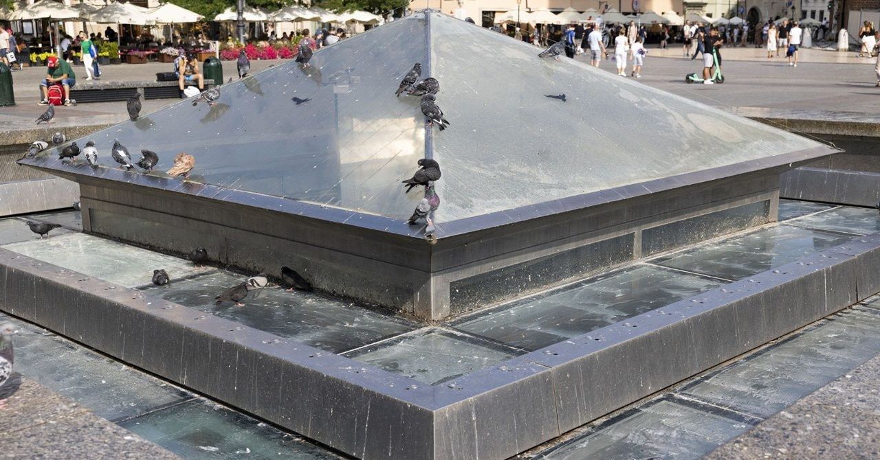 Małopolskie: Podwyżka cen biletów, powrót do pracy prezydenta Handzla, co dalej z brudnym "kryształem" w Krakowie?