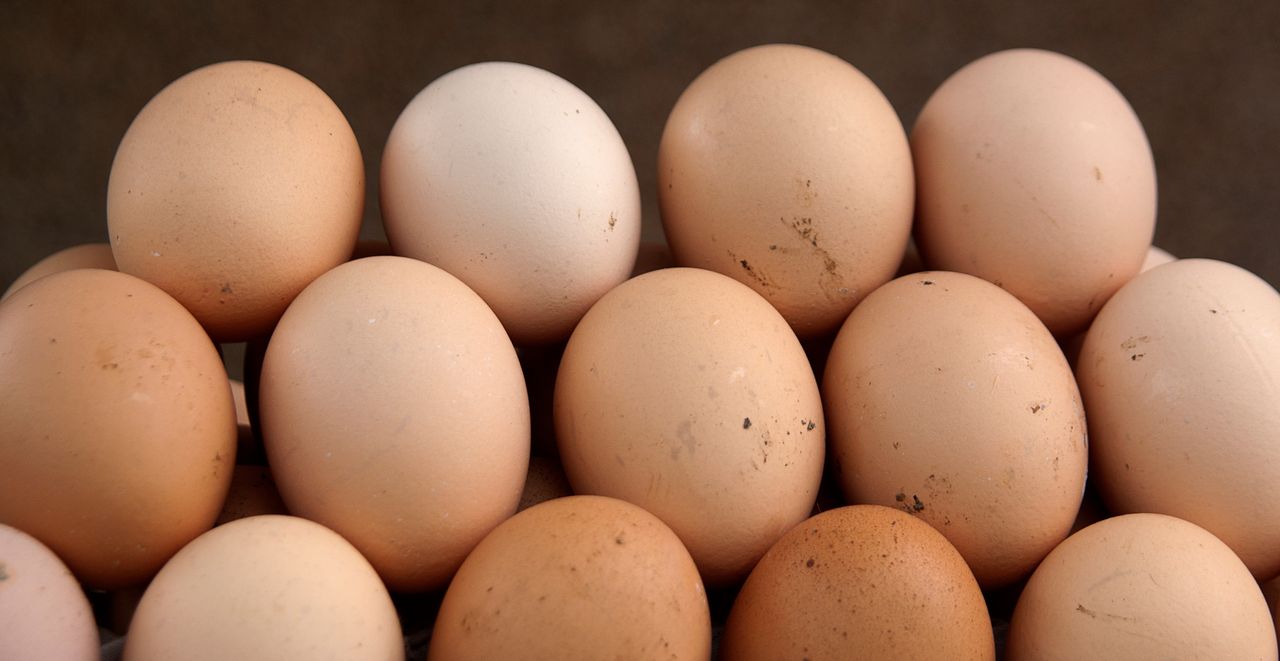 Jakie istnieją wegańskie zamienniki jajek?