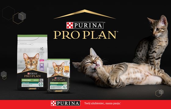 Streetcom po wygranym przetargu przygotuje kampanie marki Purina
