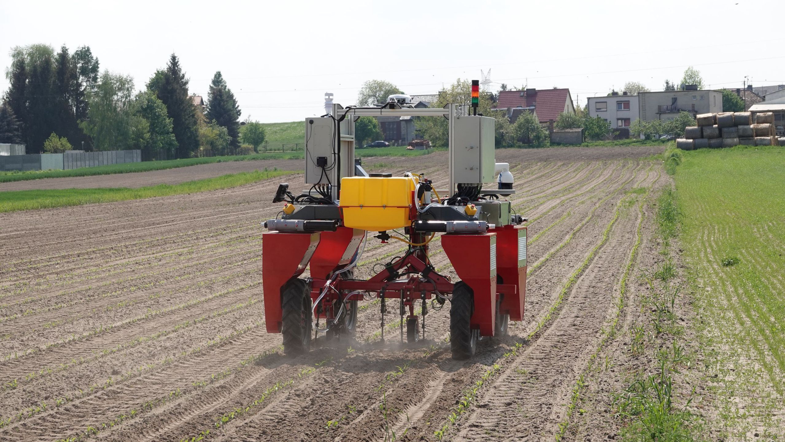 Robot ułatwiający uprawę kukurydzy. 