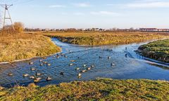 Jedyne takie skrzyżowanie rzek w Polsce. Ich wody nie mieszają się ze sobą