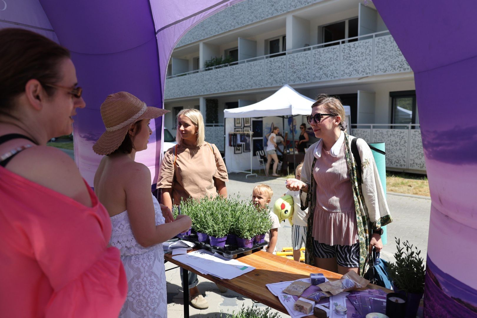 Niedziela w aurze lawendy – festiwal w Ochojcu