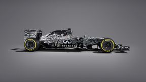 Red Bull Racing będzie sam budował silnik?