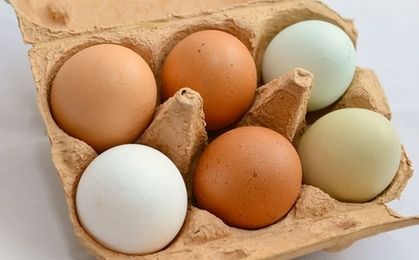 Jaja od kur z wolnego wybiegu mogą zawierać rakotwórcze dioksyny