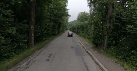 Bielsko-Biała. Okrojona rozbudowa alei pod Szyndzielnię. Wymagałaby wycinki wielu drzew