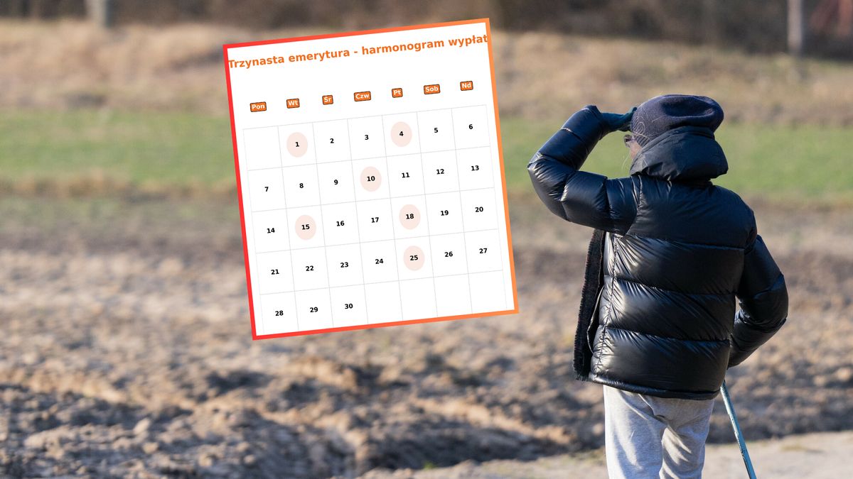 Kiedy wypłaty trzynastek?