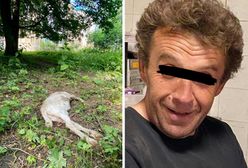 Dziwiszów. Zarzuty dla mordercy koziołka. Szokujące kulisy sprawy