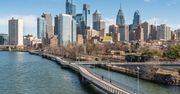 USA. Na ulicach Filadelfii znaleziono 1,5 tys. martwych ptaków