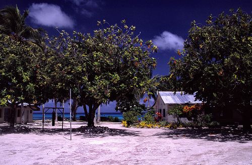 wyspa atol