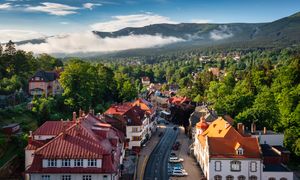 Wąż w pokoju, przerębel na życzenie i „pedicure Kopciuszka”. Polacy zaskakują