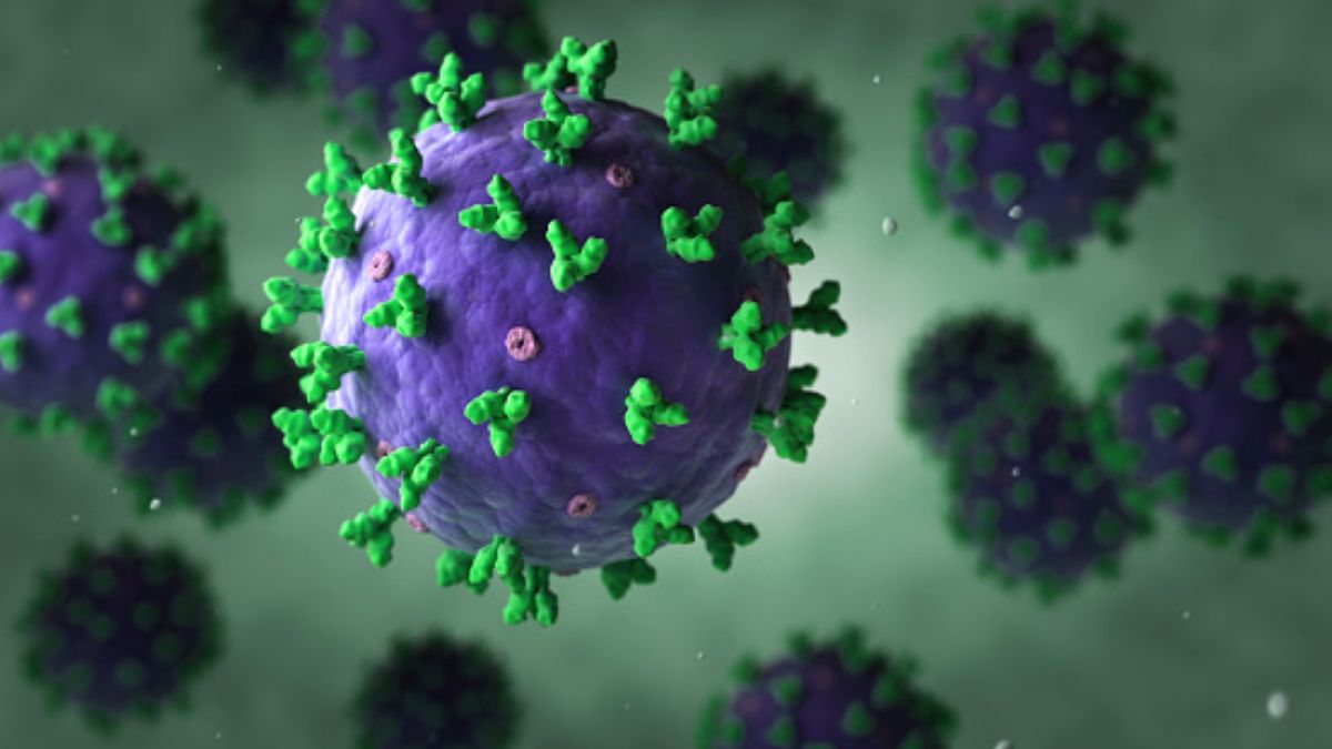 Jeszcze do niedawna zakażenia wirusem Lassa występowały głównie w państwach Afryki Zachodniej 