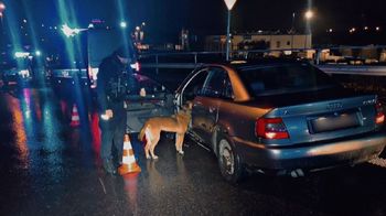 Białystok: Nie zatrzymał się do kontroli. Odnalazł go pies policyjny