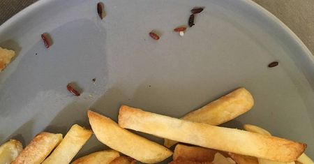 Kupiła w sklepie frytki, robaki dostała gratis