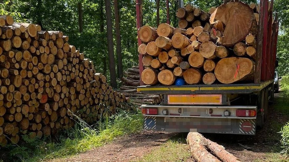 Wypadek przy załadunku drewna w miejscowości Brzozowica Duża 