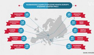 Statistica: najbardziej zanieczyszczone miasta Polski i Europy