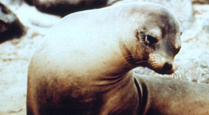 Najdziwniejsze tajemnice świata