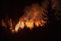Biebrzański Park Narodowy w płomieniach. Pożar widać z odległości 5 tys. km