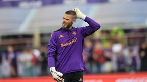 Już wszystko jasne! Wiadomo, gdzie zagra w przyszłym sezonie David de Gea