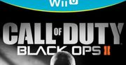 Granie i gadanie przez sieć na Wii U? Komfortowo nie będzie