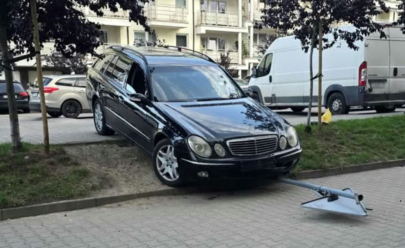 Fot. Licencjodawca