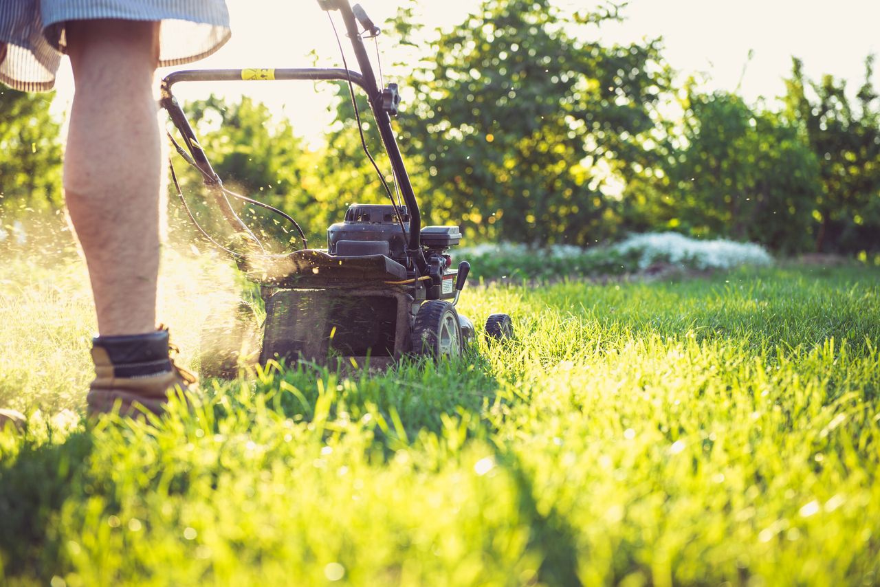 Mandat za koszenie trawy? Powraca coroczna dyskusja