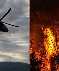Sytuacja krytyczna. Płoną lasy w Niemczech i Czechach. Polscy strażacy i policjanci ruszyli na pomoc