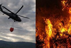 Sytuacja krytyczna. Płoną lasy w Niemczech i Czechach. Polscy strażacy i policjanci ruszyli na pomoc