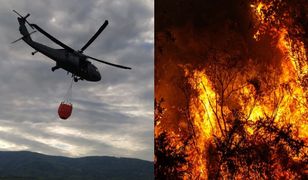 Sytuacja krytyczna. Płoną lasy w Niemczech i Czechach. Polscy strażacy i policjanci ruszyli na pomoc