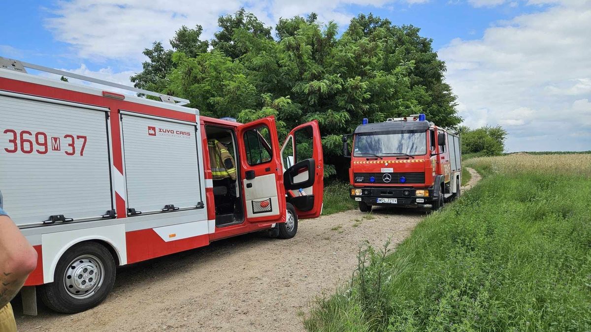 Poszukiwania osoby zaginionej