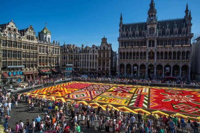 Belgia: Kwiatowy dywan na Grand Place w afrykańskie wzory