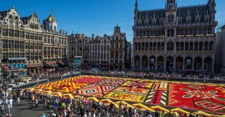 Belgia: Kwiatowy dywan na Grand Place w afrykańskie wzory