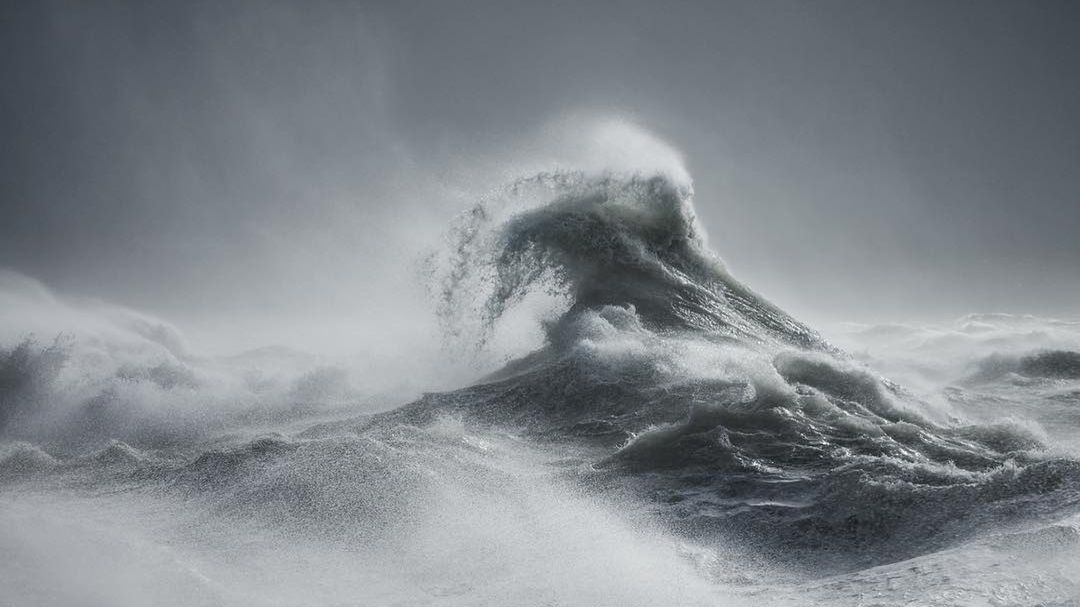 Rachael Talibart odnajduje mityczne stworzenia w morskich falach 1