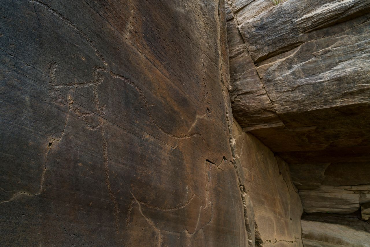 Vale do Coa Archaeological Park is famous for its rock paintings.