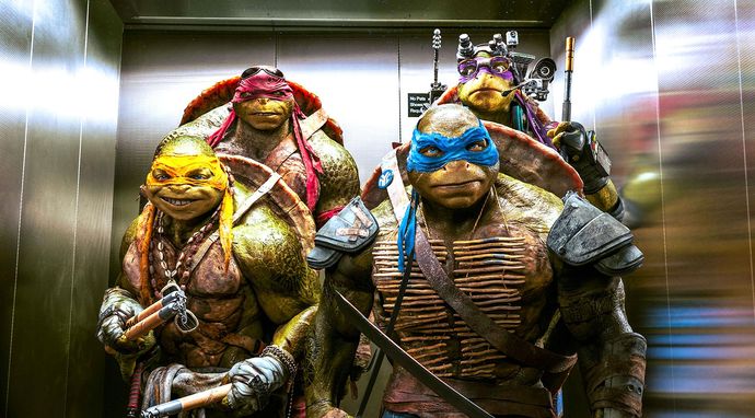 Wojownicze żółwie ninja